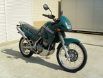     Kawasaki KLE250 1993  5